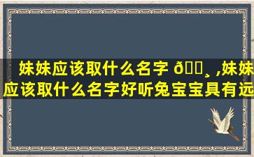 妹妹应该取什么名字 🌸 ,妹妹应该取什么名字好听兔宝宝具有远大志向方面的